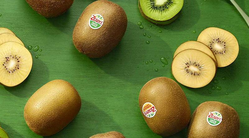 La alianza entre Sinclair y Zespri otorga al comercio de kiwis la adopción de prácticas sostenibles en su cadena de suministro global