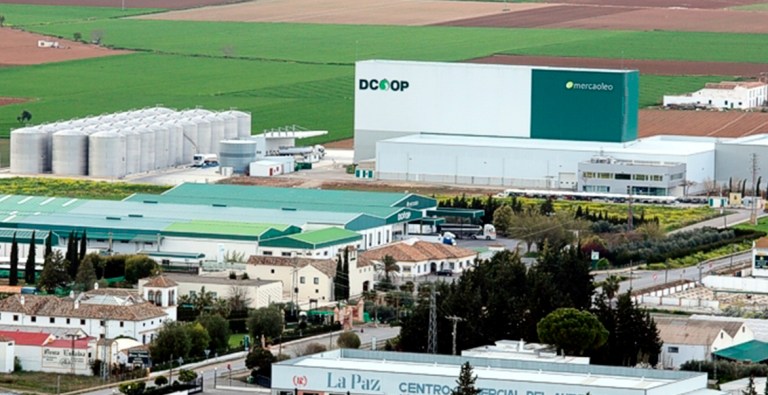 El descenso de ingresos se produce después de que la compañía alcanzara en 2024 la mayor facturación de su historia