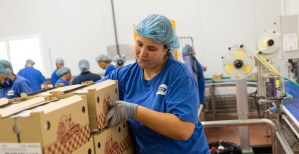 La actividad económica de la entidad incluye la producción de lácteos, postres, mermeladas y helados