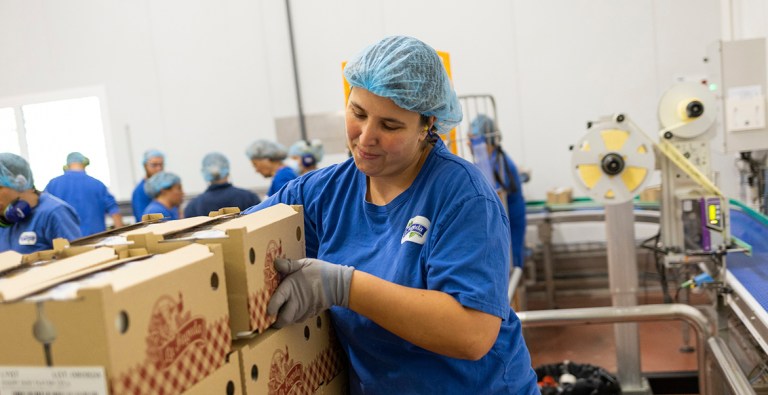 La actividad económica de la entidad incluye la producción de lácteos, postres, mermeladas y helados