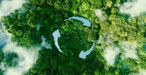 EcoVadis abre su plataforma Community a compradores y proveedores